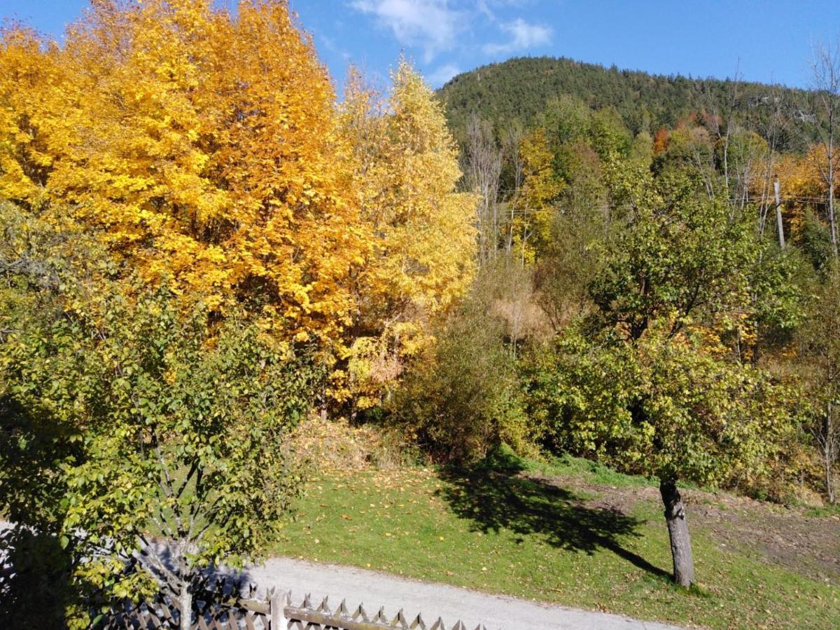 Ferienhaus Bauer Trattenbach  ภายนอก รูปภาพ