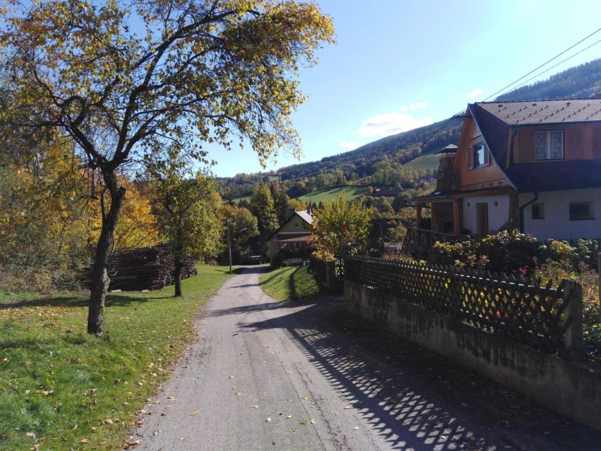 Ferienhaus Bauer Trattenbach  ภายนอก รูปภาพ